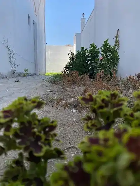 Maya Otel