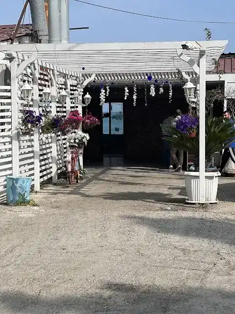 Mesut'un Yeri Balık Restaurant