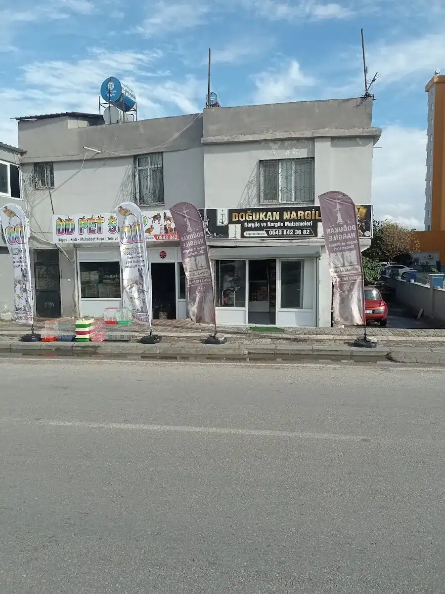 Doğukan nargile fotoğraf 3