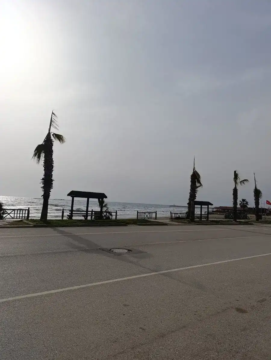 Mabella Cafe fotoğraf 3