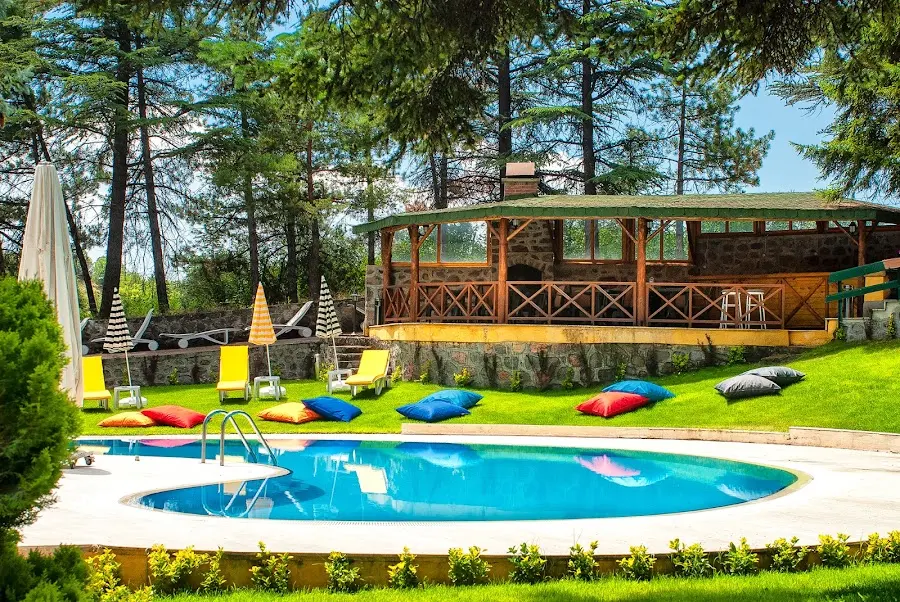 Ayfi FARM