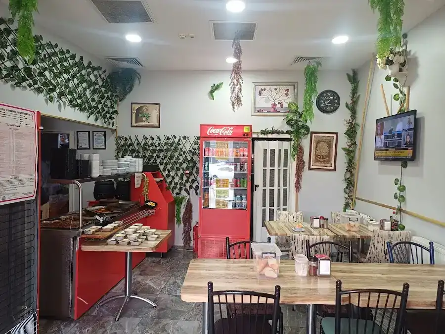 Dürüm Sarayı fotoğraf 3