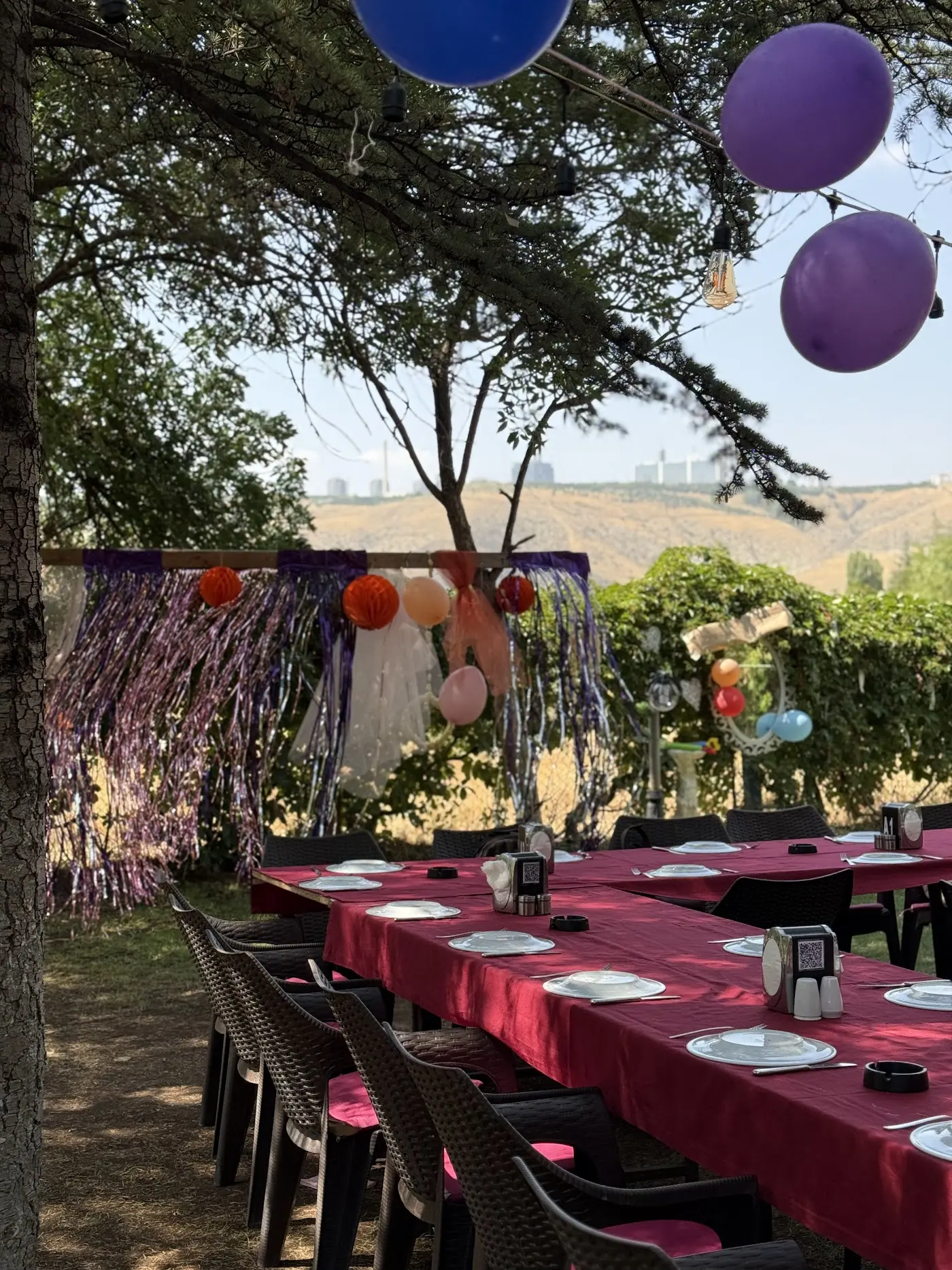 Özgür Bahçe Restaurant fotoğraf 1