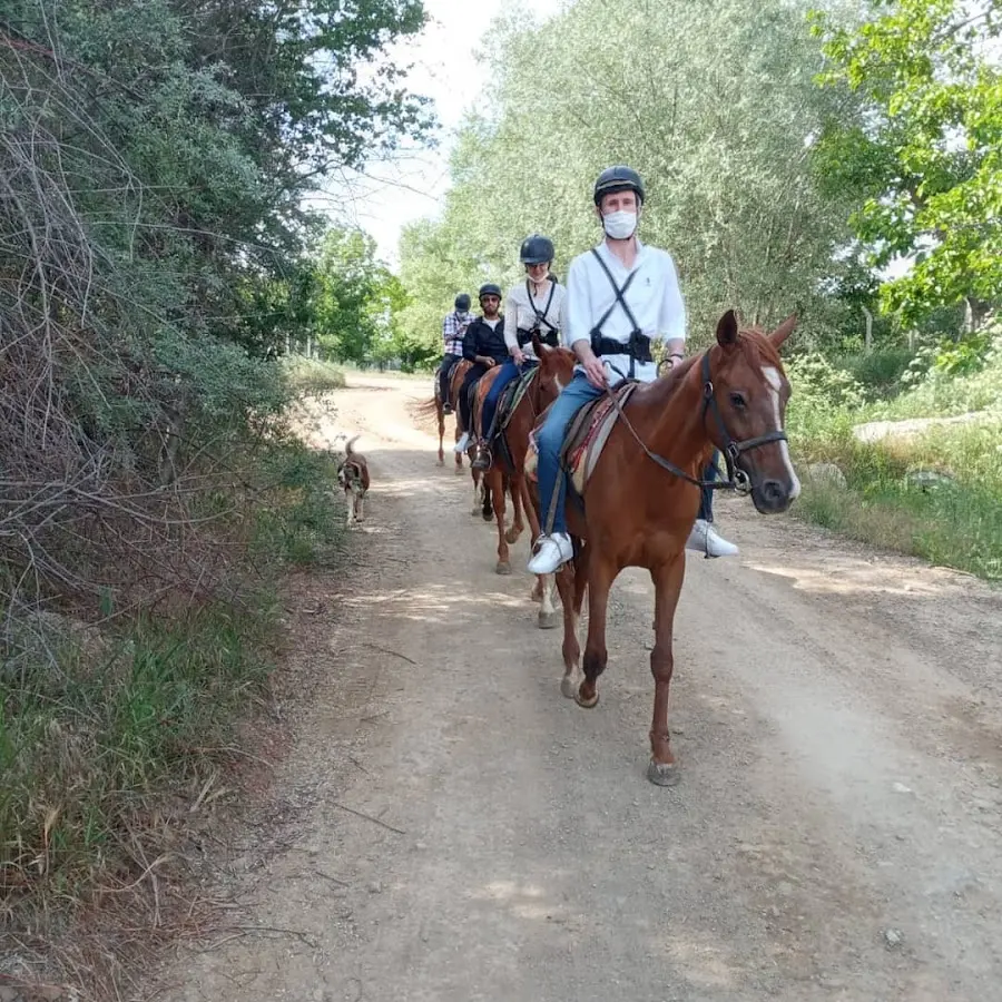 Safari At Çiftliği