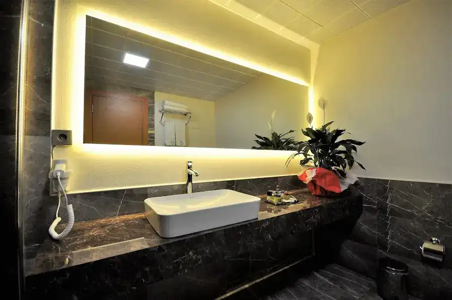 DOUBLE COMFORT HOTEL fotoğraf 3