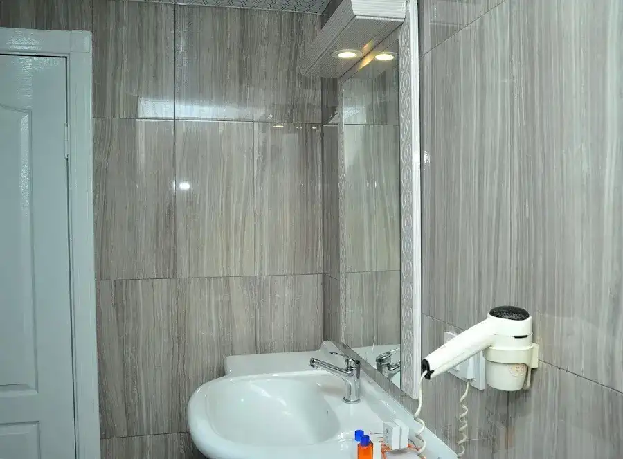 Lion City Hotel Ankara fotoğraf 3