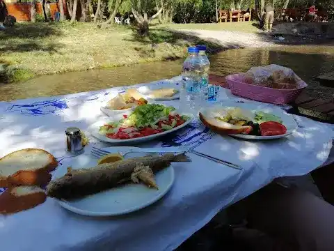 Balık Gölü Alabalık Üretim Tesisi-Artunç Alabalık fotoğraf 2
