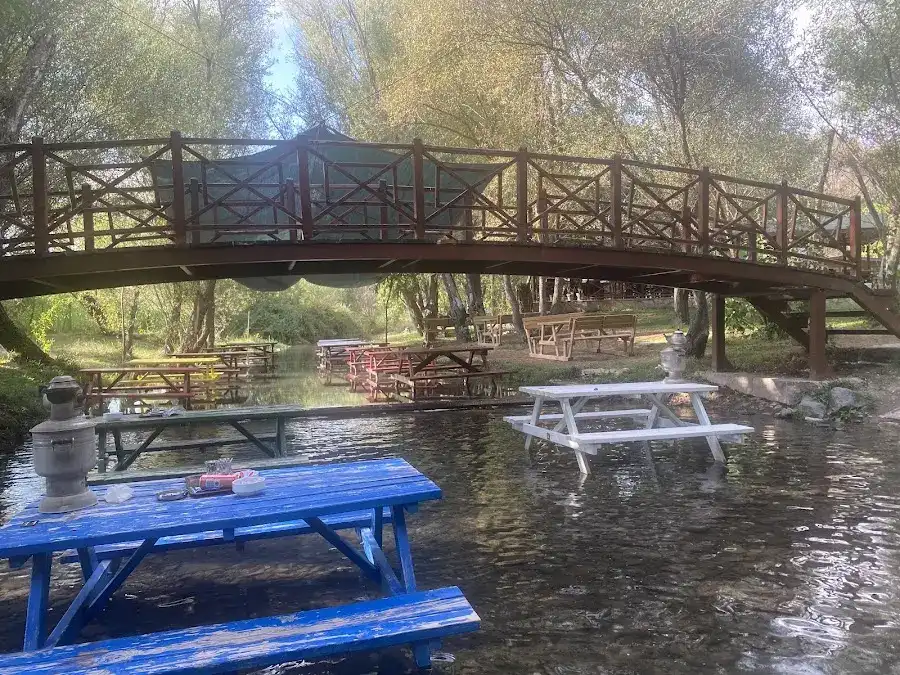 Balık Gölü Alabalık Üretim Tesisi-Artunç Alabalık fotoğraf 3