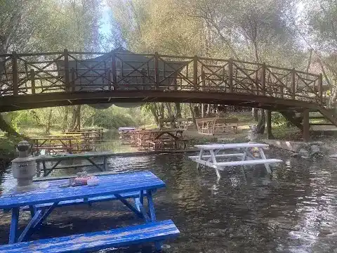 Balık Gölü Alabalık Üretim Tesisi-Artunç Alabalık fotoğraf 3