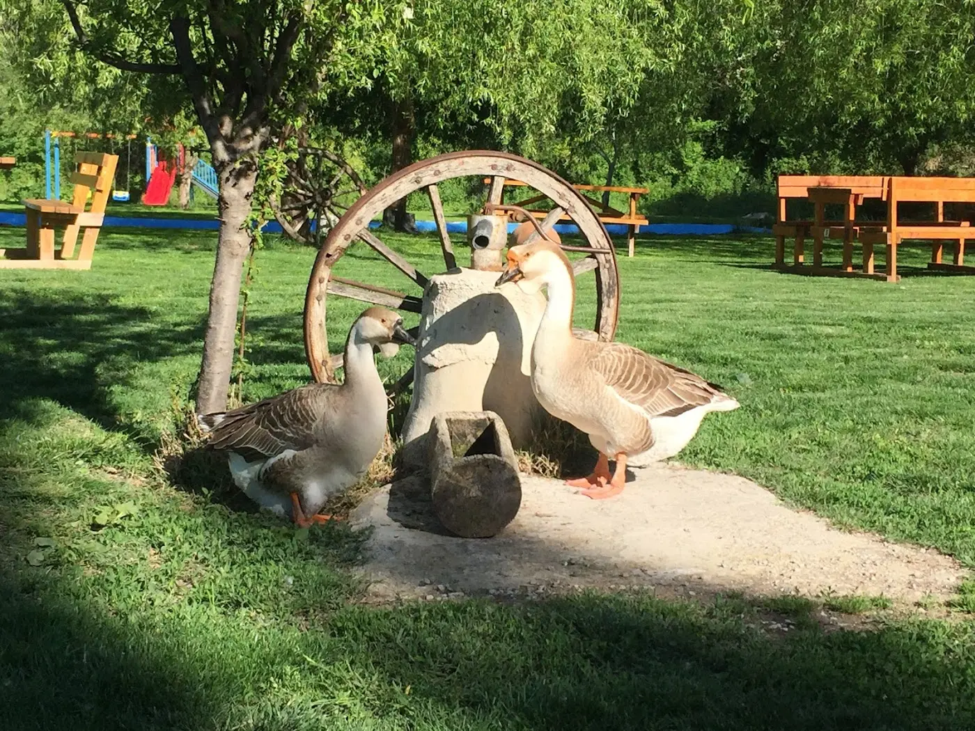 İlhanlı Alabalık Tesisleri fotoğraf 3