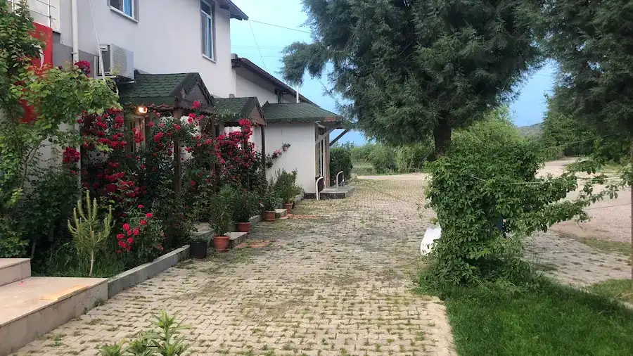 Beypazarı As Balıkçılık fotoğraf 3