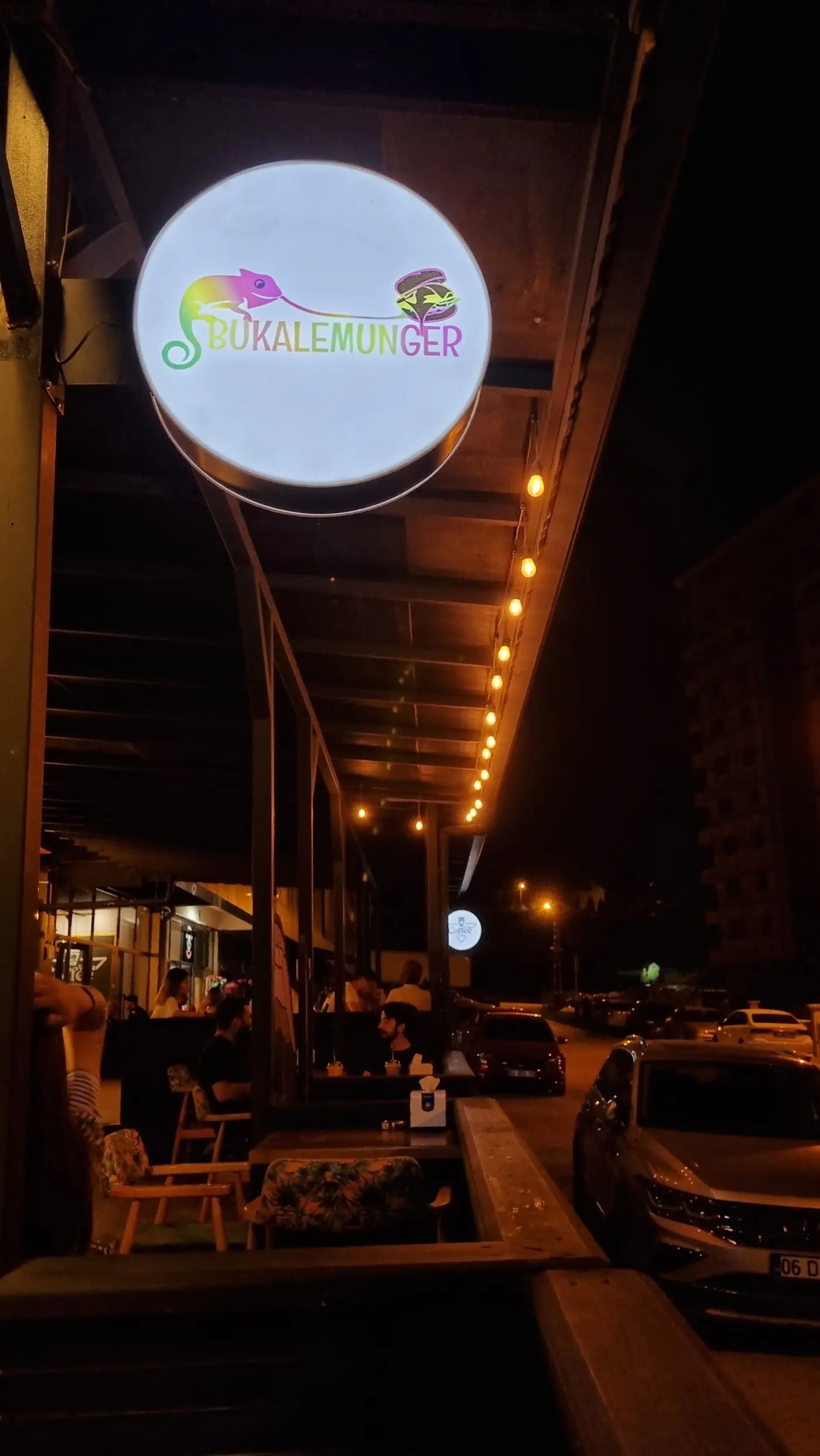 Bukalemunger fotoğraf 3