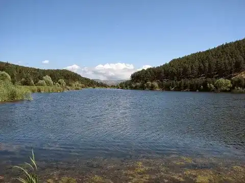 Çamkoru Tabiat Parkı