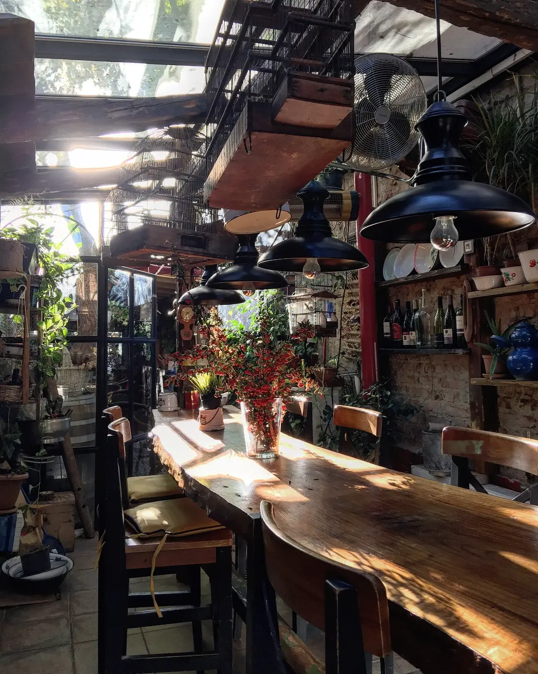 Cafe Botanica