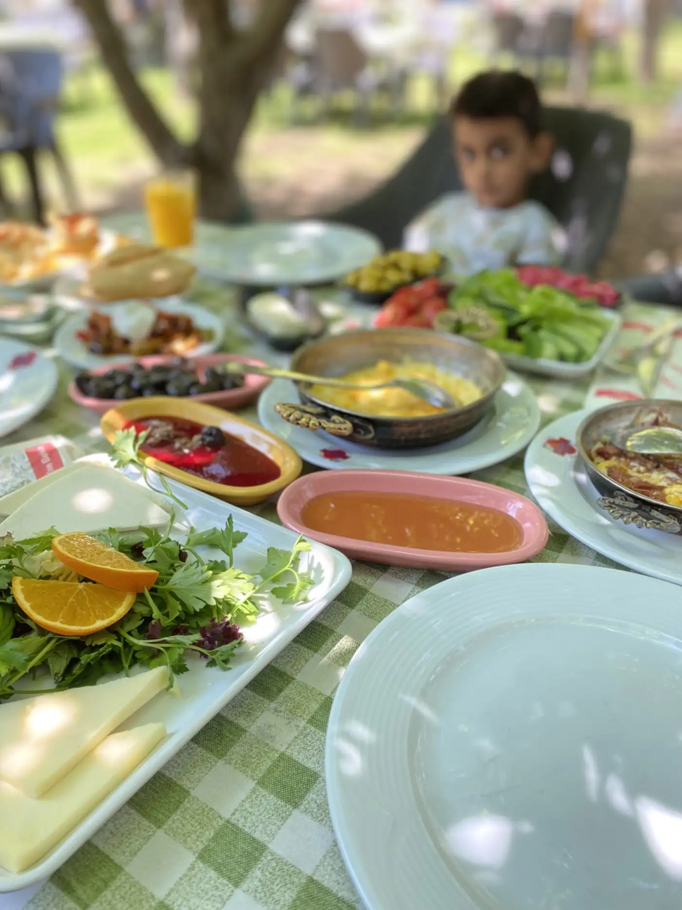 Eymir Uçurtmalı Bahçe fotoğraf 2