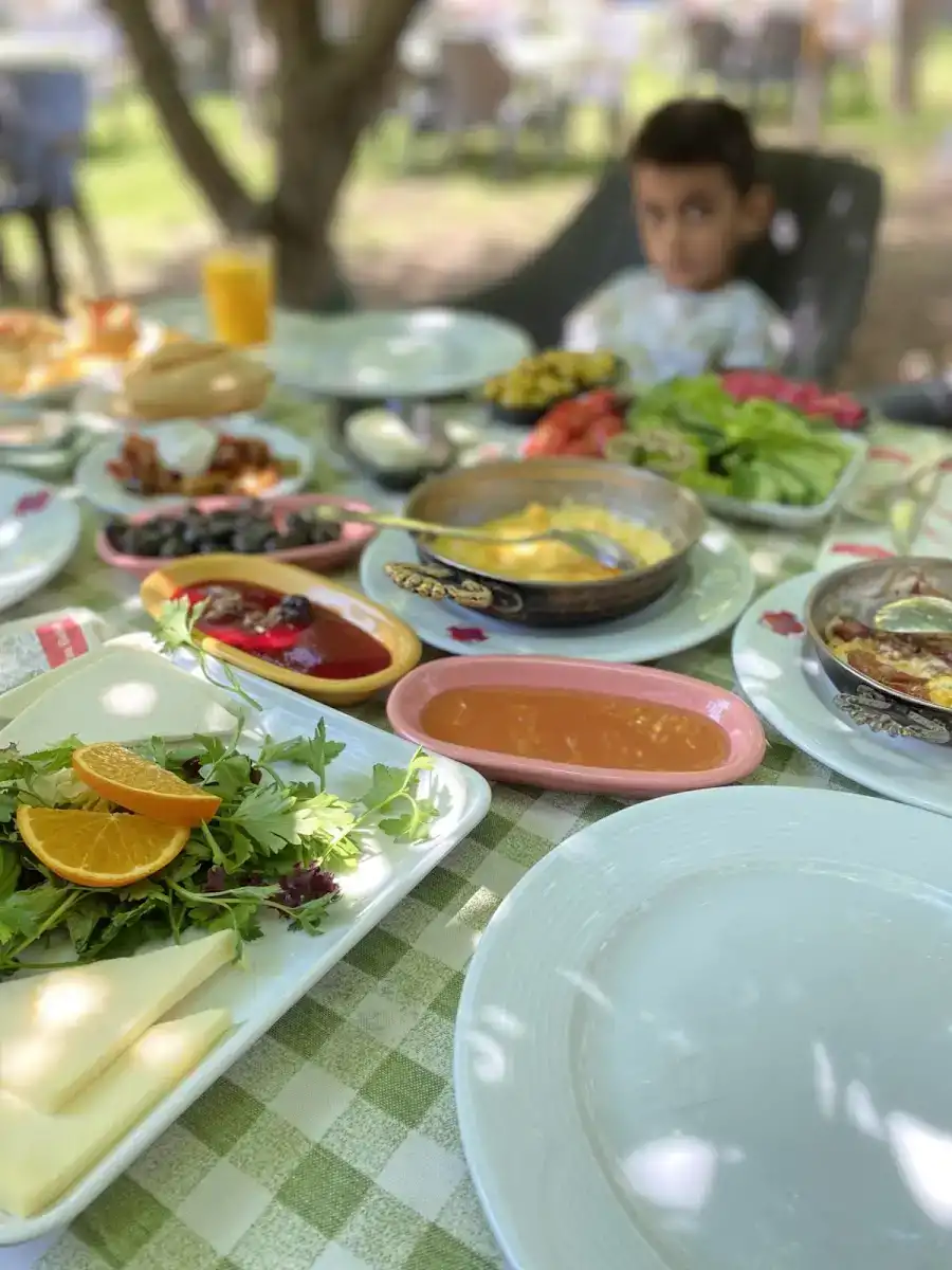 Eymir Uçurtmalı Bahçe fotoğraf 2