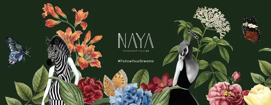 Naya Dreamland fotoğraf 3