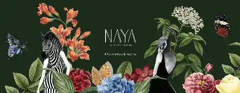 Naya Dreamland fotoğraf 3