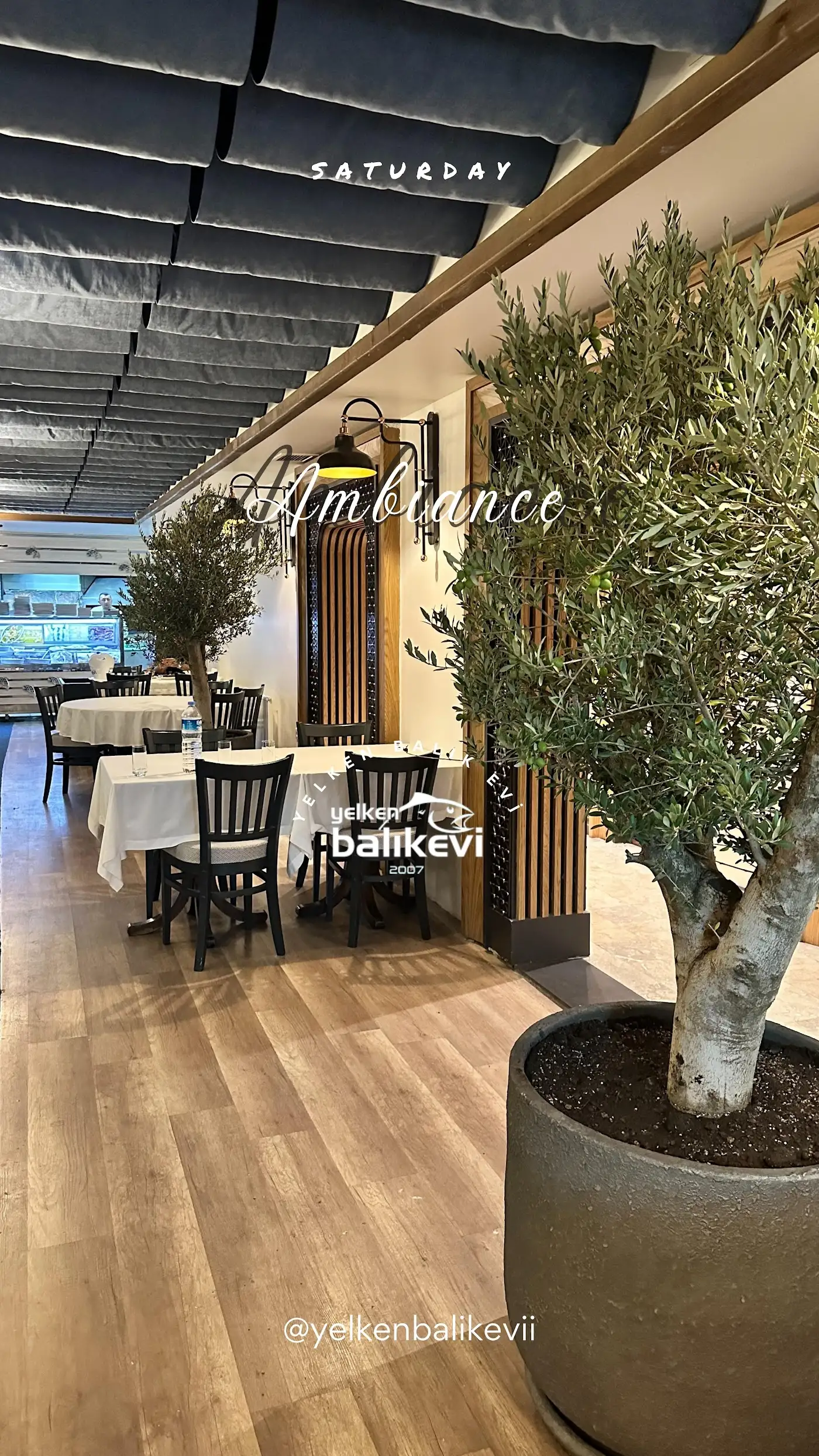 Yelken Balık Evi fotoğraf 2