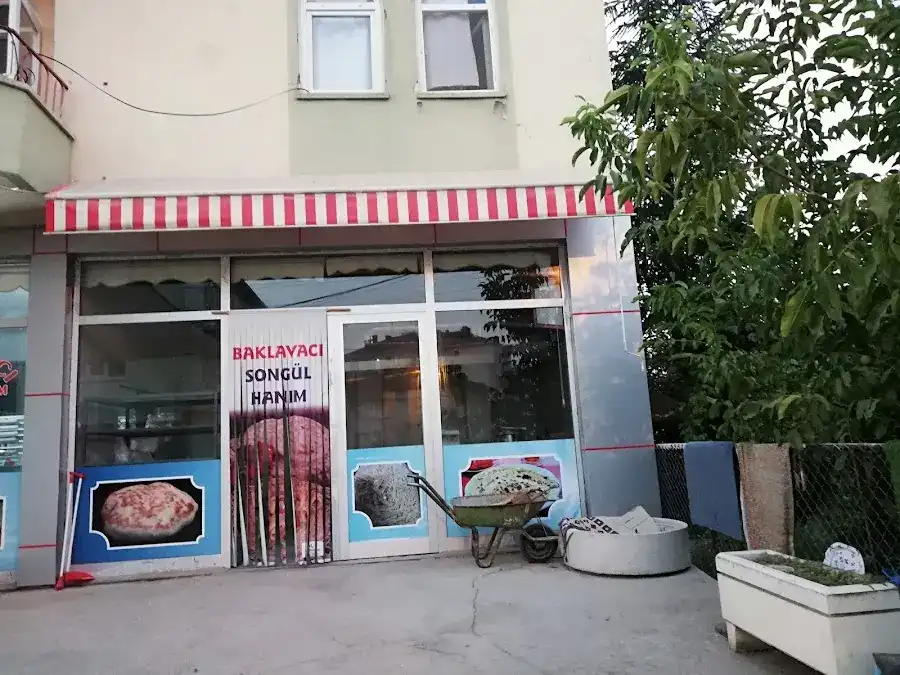 Baklavacı Songül Hanım