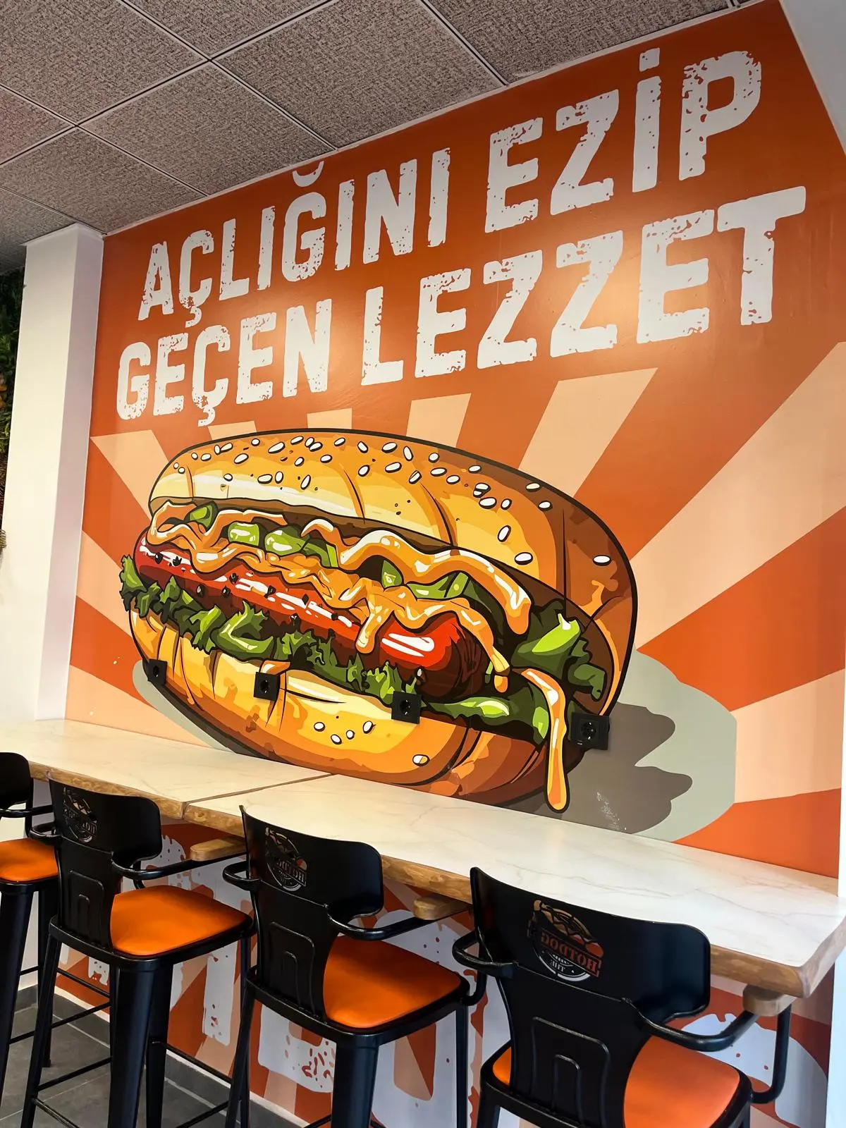 Thehotdogs fotoğraf 2