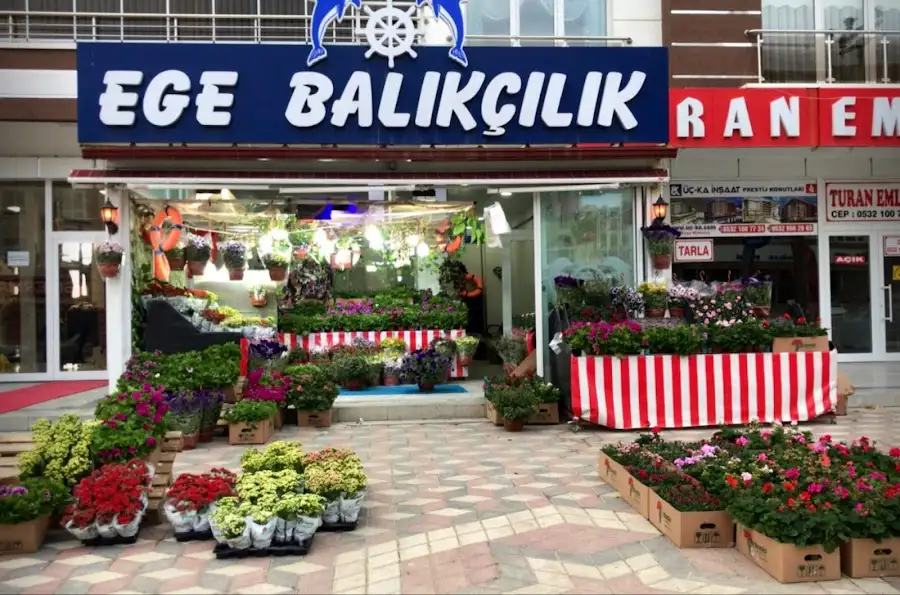 Ege Balıkçılık fotoğraf 3