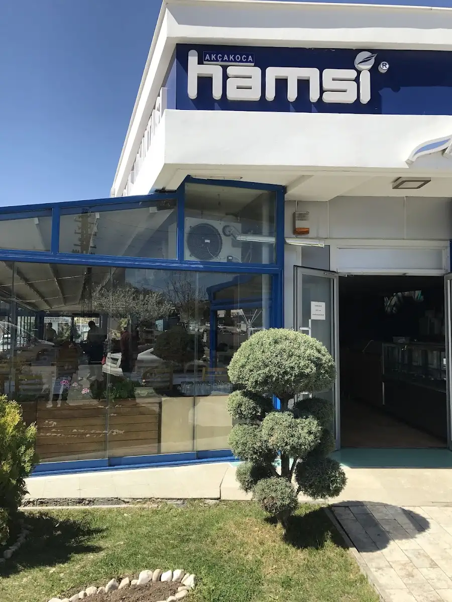 Hamsi Balık Lokantası - Balgat