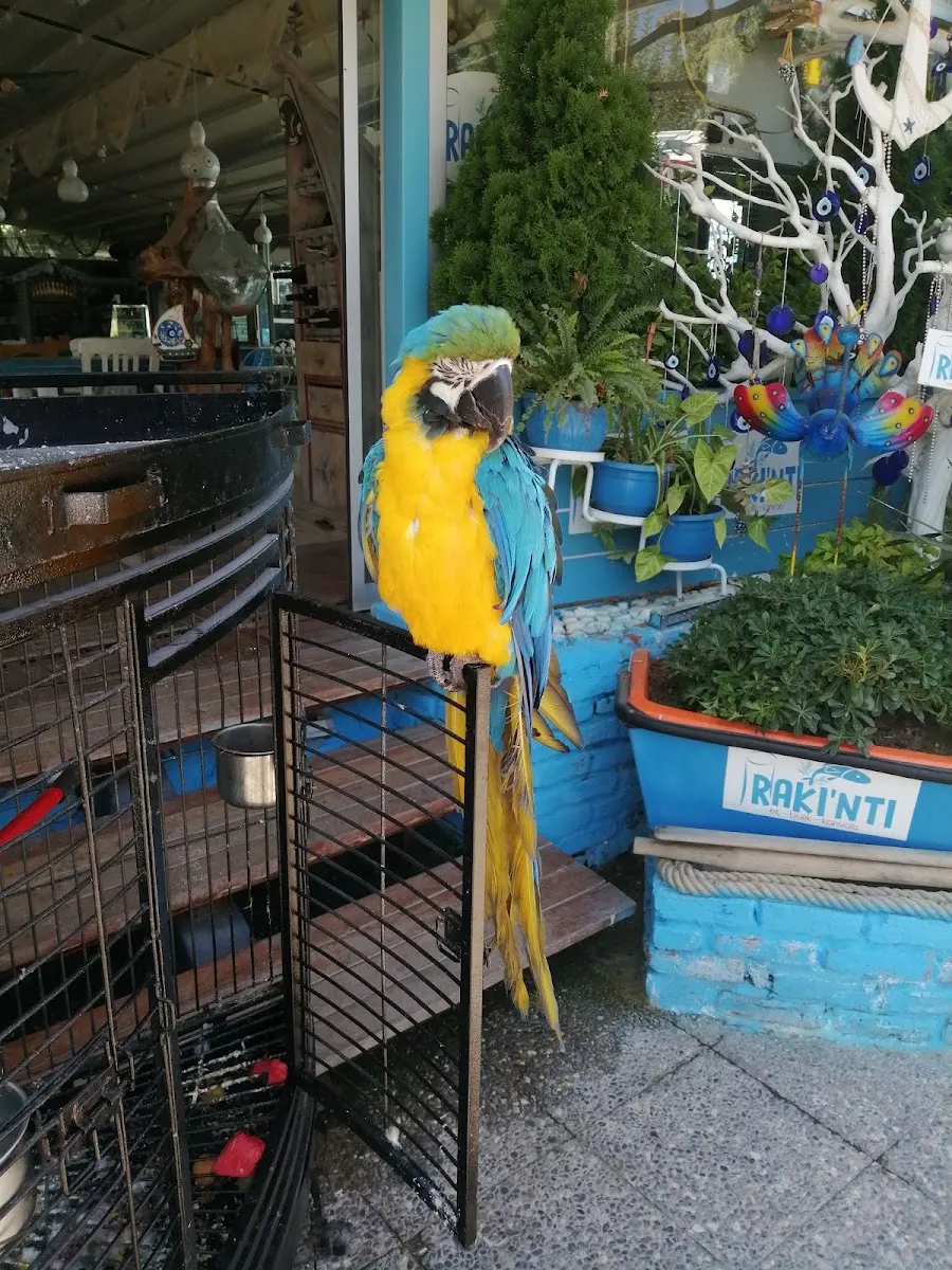Nüve Park Restaurant fotoğraf 3