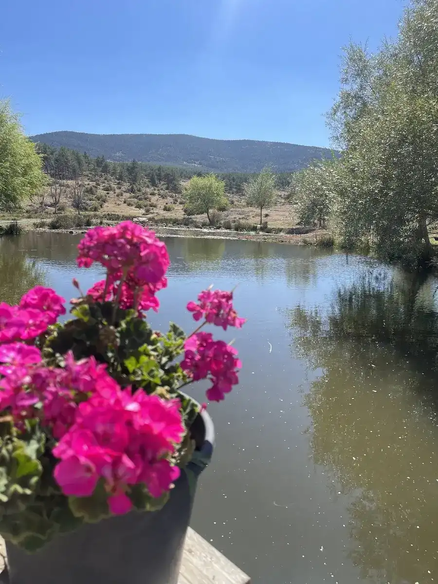 sorgun balıklı göl alabalık tesisi fotoğraf 2