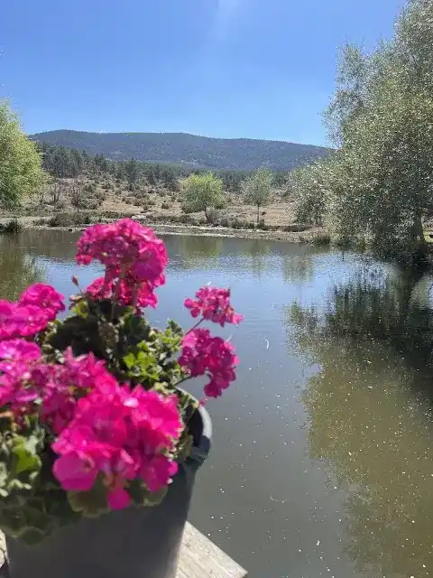 sorgun balıklı göl alabalık tesisi fotoğraf 2