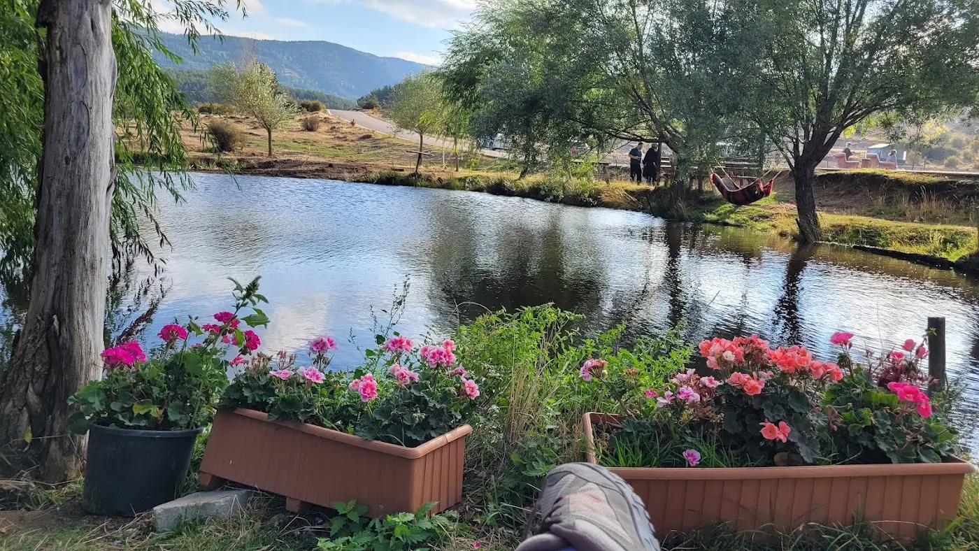 sorgun balıklı göl alabalık tesisi fotoğraf 3