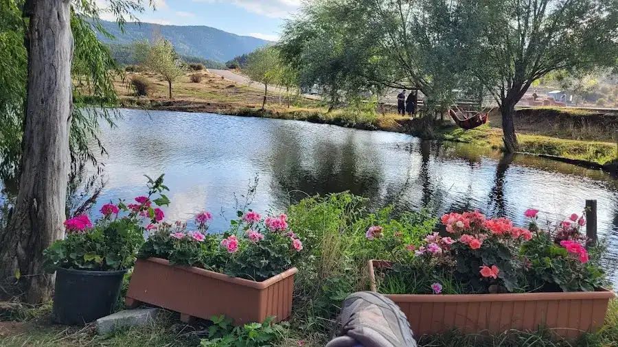 sorgun balıklı göl alabalık tesisi fotoğraf 3