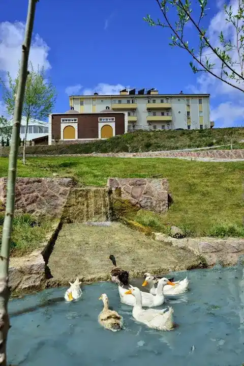 Doktorun Oteli