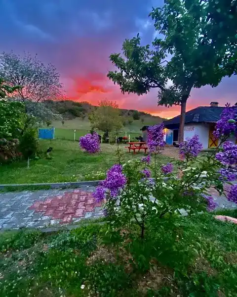 DÜŞ YOLCUSU BUNGALOV OTEL VE AT ÇİFTLİĞİ