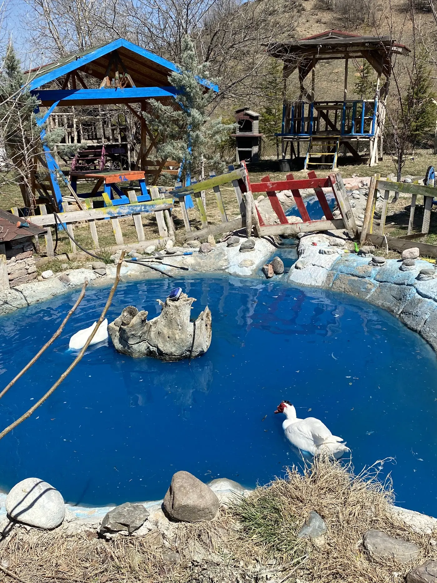 DÜŞ YOLCUSU BUNGALOV OTEL VE AT ÇİFTLİĞİ fotoğraf 3