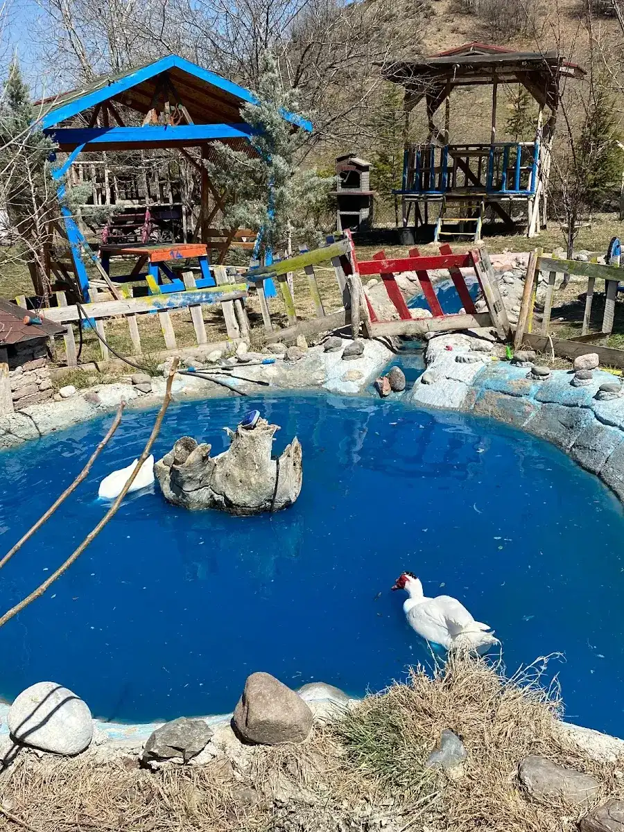 DÜŞ YOLCUSU BUNGALOV OTEL VE AT ÇİFTLİĞİ fotoğraf 3