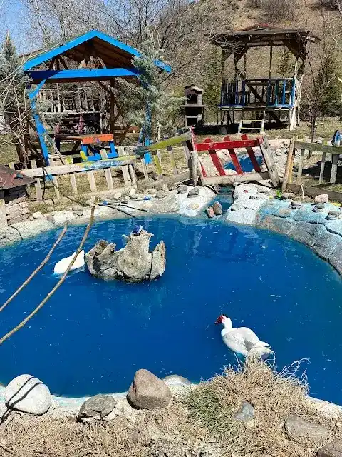 DÜŞ YOLCUSU BUNGALOV OTEL VE AT ÇİFTLİĞİ fotoğraf 3