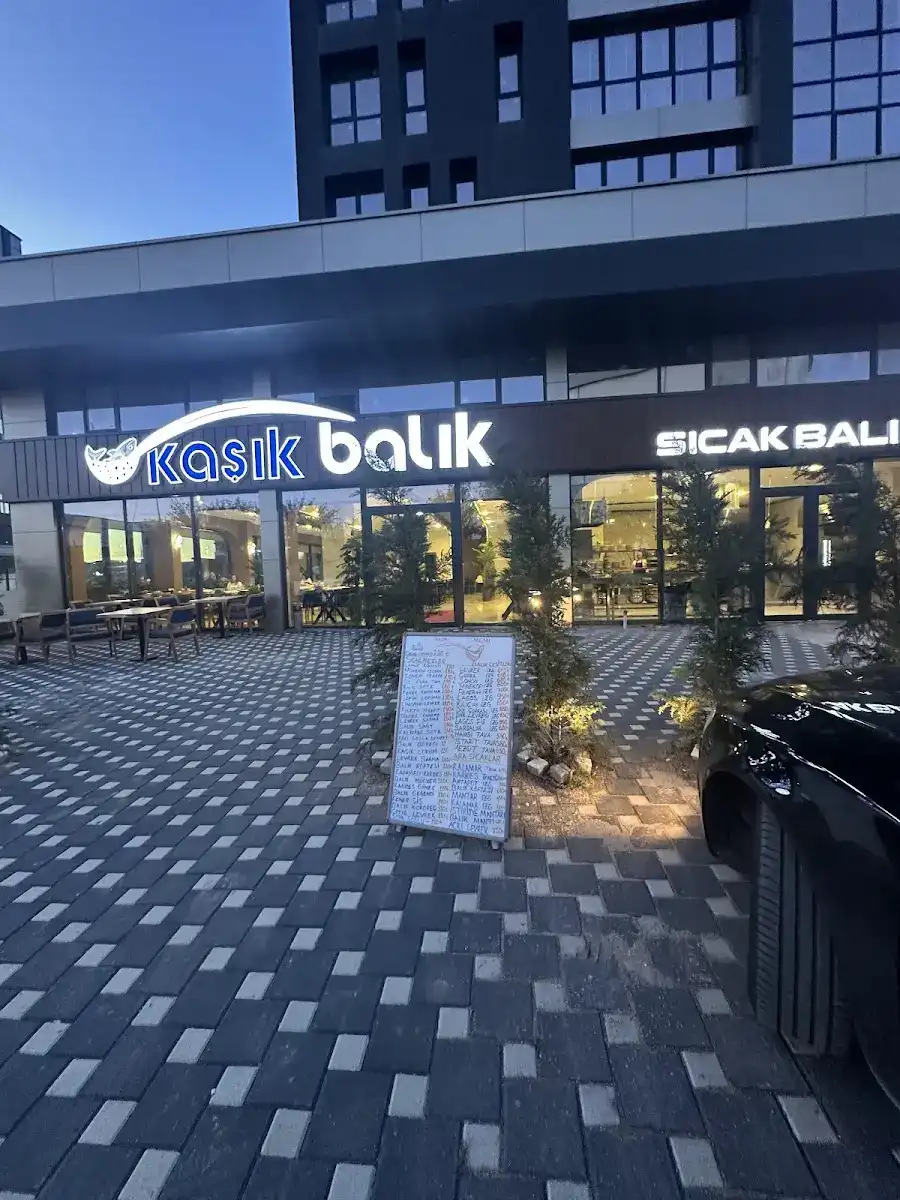 KAŞIK BALIK ANKARA