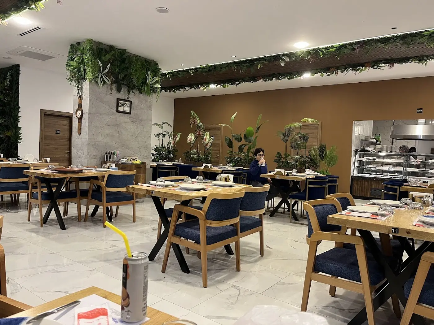 KAŞIK BALIK ANKARA fotoğraf 2