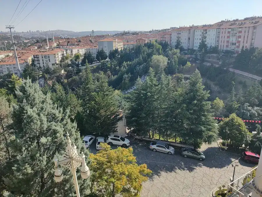 Özbek Sofrası fotoğraf 3