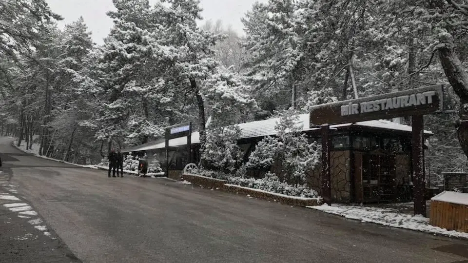 Mir Restoran fotoğraf 3