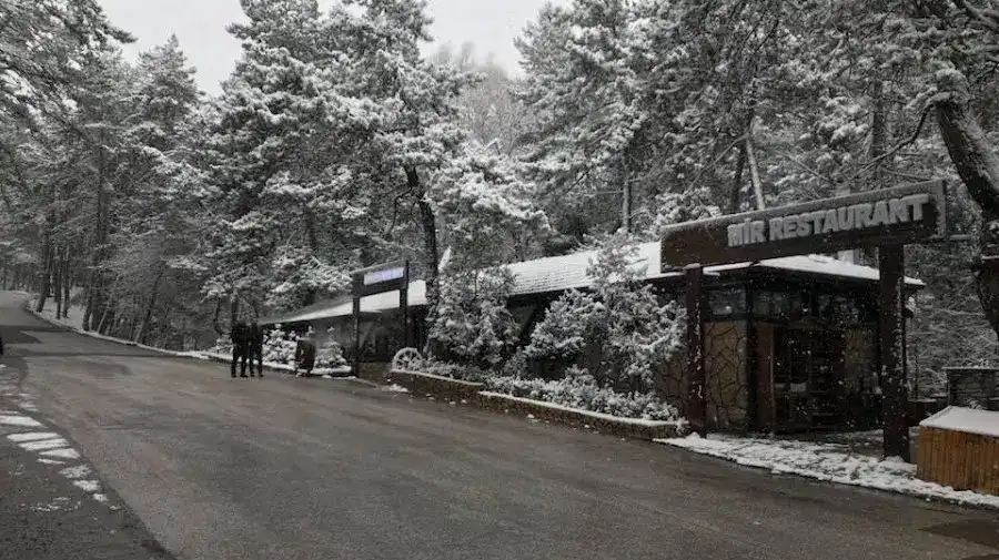 Mir Restoran fotoğraf 3