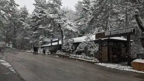 Mir Restoran fotoğraf 3