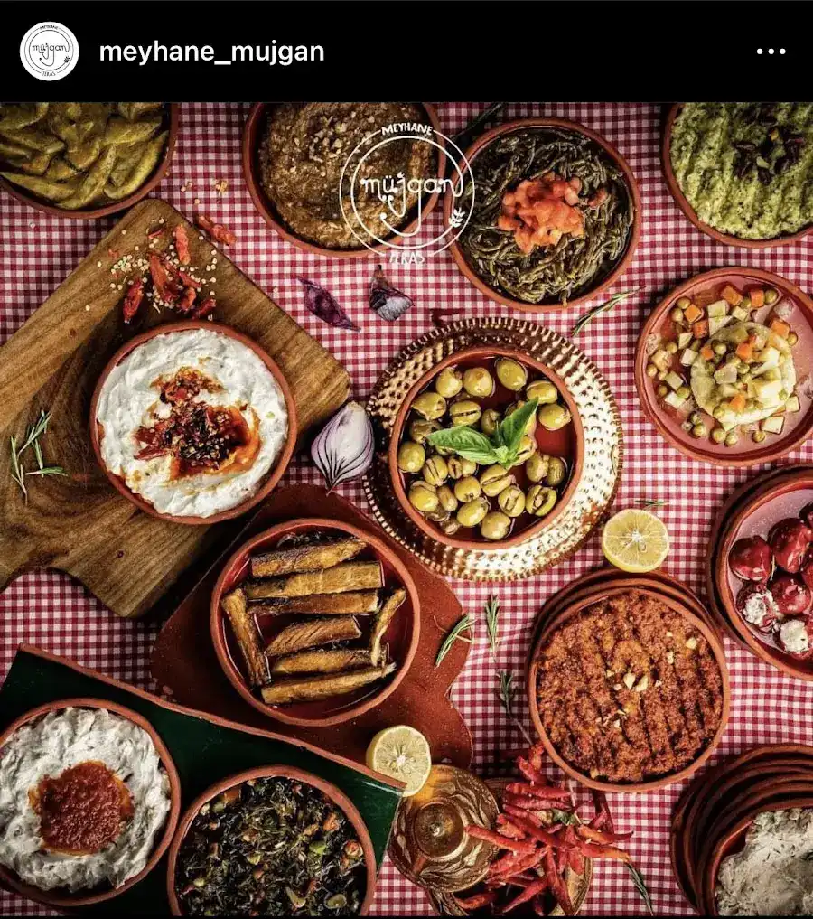 Müjgan Meyhane fotoğraf 2