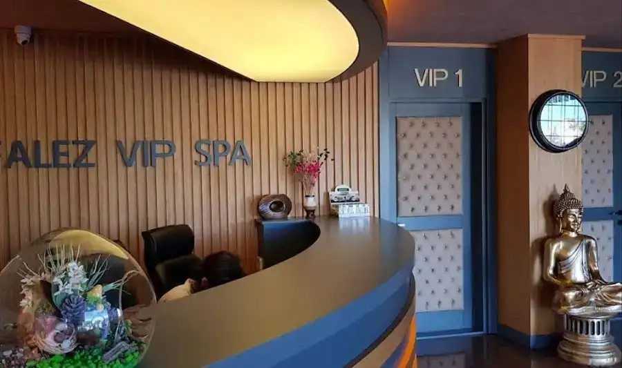 FALEZ VIP SPA fotoğraf 2