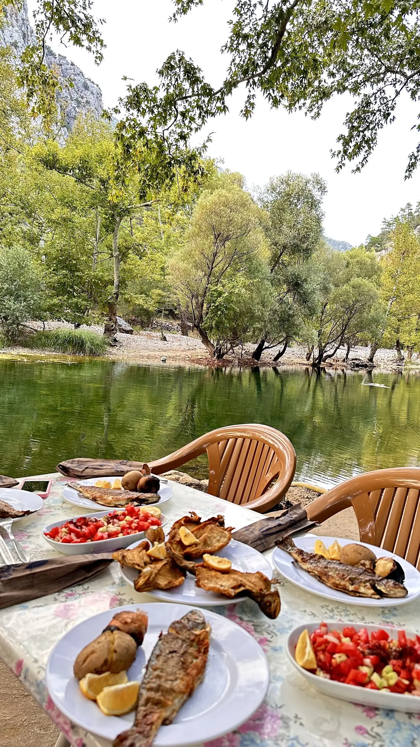 Handost Canlı Alabalık