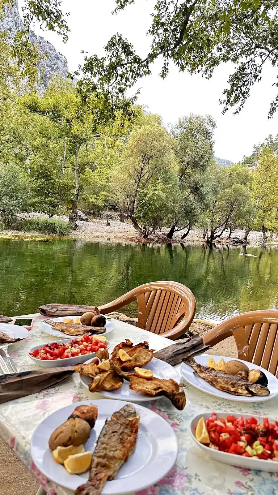 Handost Canlı Alabalık