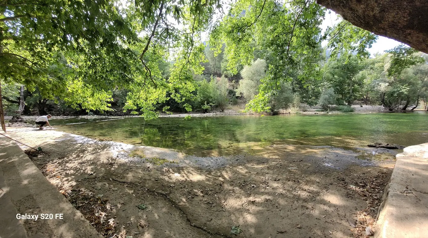 Handost Canlı Alabalık fotoğraf 3