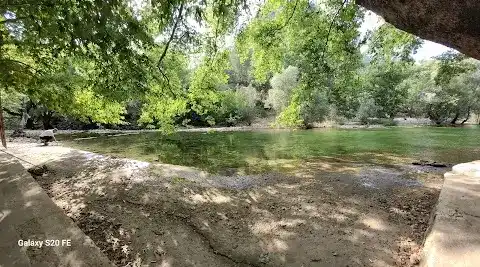 Handost Canlı Alabalık fotoğraf 3