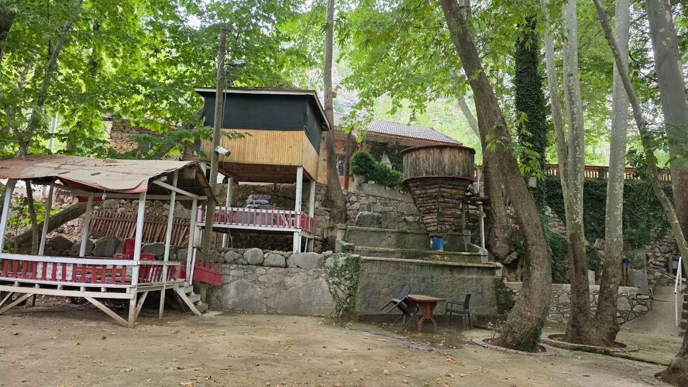 Tarzan Alabalık Çiftliği fotoğraf 3